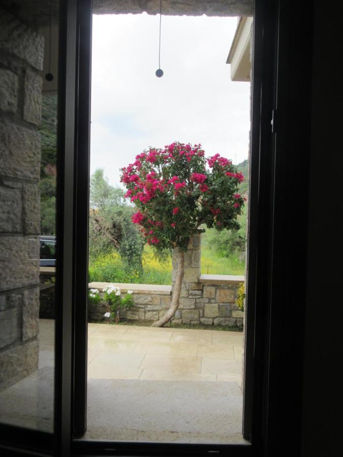 Villa Seaside Retreat House Paralia Sergoulas Esterno foto