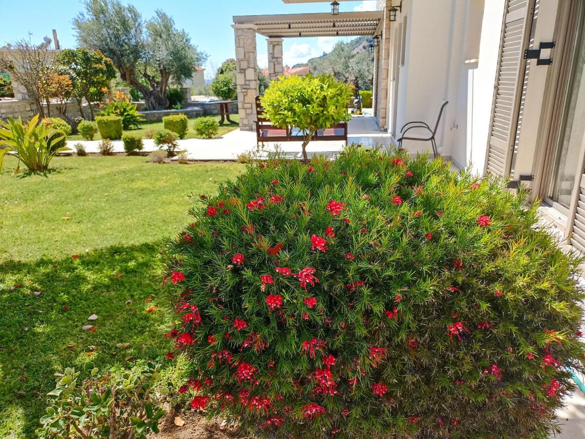 Villa Seaside Retreat House Paralia Sergoulas Esterno foto